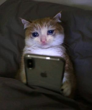 ���������, ������� � �������� �� ������� ���� ����������� ������, � ���������