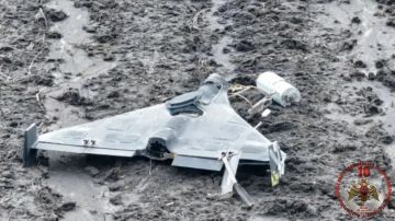 За минувшие сутки мобильные огневые группы Росгвардии уничтожили над территорией ЛНР шесть вражеских БПЛА самолётного типа с боевой нагрузкой