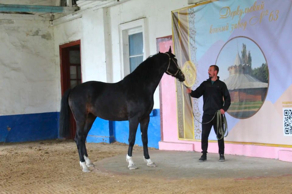 ������ ���������� � ����������� ������: ������� � �������� � ���������� � ��������� ��������������