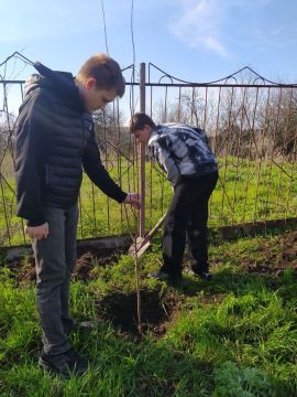 ���� ������ � ����� ����������� � ������� ������!