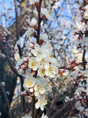 ������ ����, �������!. ������ �������, ��������, ������,� ������� ���