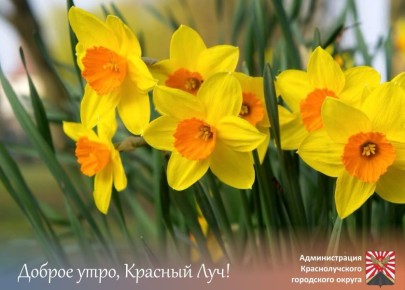 ������ ����, ������������!