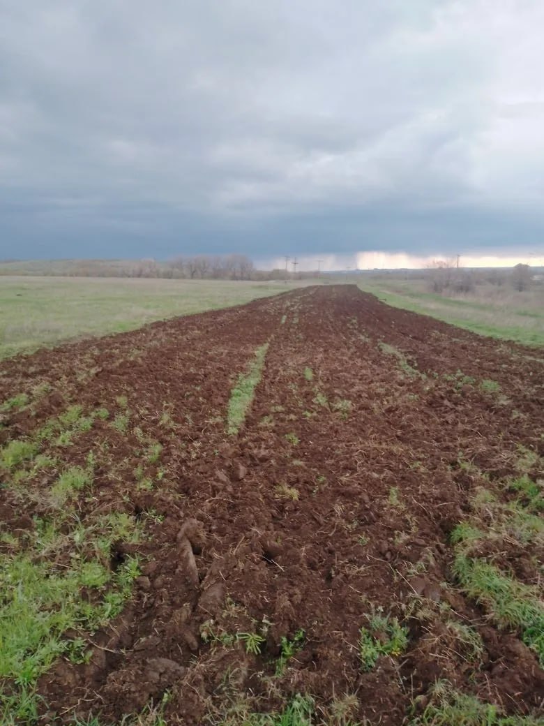 На территории Краснодонского муниципального округа продолжаются работы по опашке населенных пунктов На территории Краснодонского муниципального округа продолжаются работы по опашке населенных пунктов