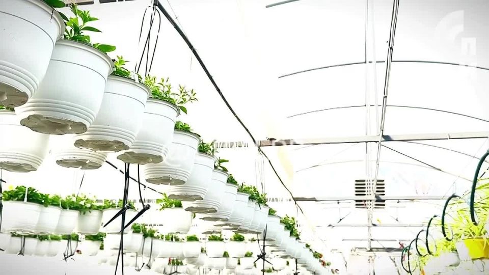 �������� � ��� ����� ���������. � ������ ������� �� ����� �������� �������� ������������ �������� ���������� ����, ������������� � ��������� ���� ���������, ���������� ����� 200 ������ � ����� ����������� �������� ���...