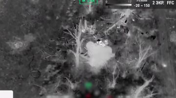 ��������� ������������� �� �� ��������� ����������� ������� ����� ��� � ����������� �������