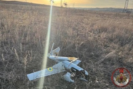 ����� 80 ���������� ���� ����� ������������ ��� ����������� � ������ ����