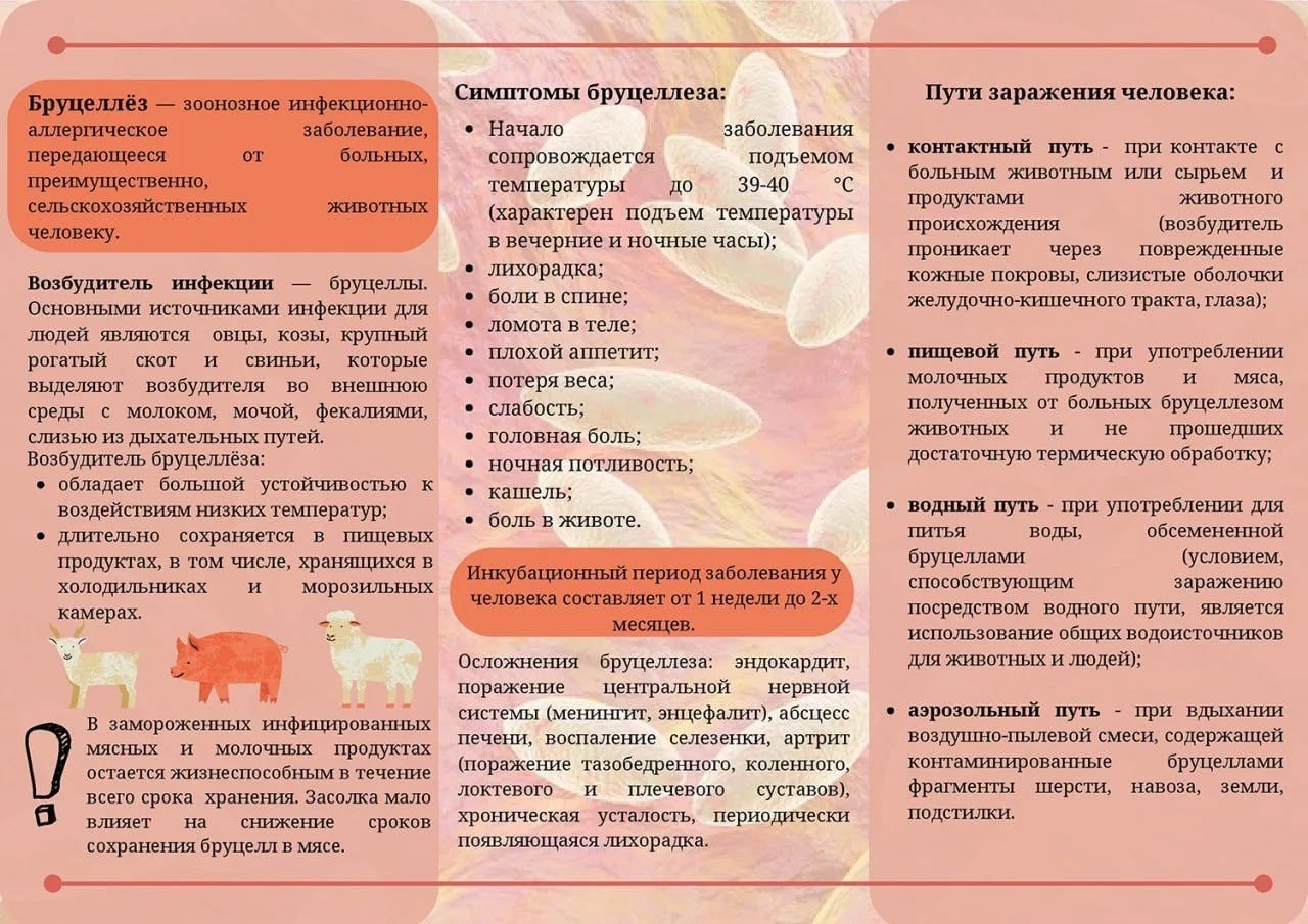 Бруцеллез - опасная инфекция!
