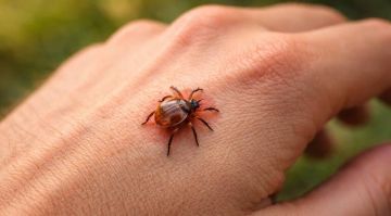 ��� ����� ����� �� ������: ������� �������, � ��� ������� � ���� �������