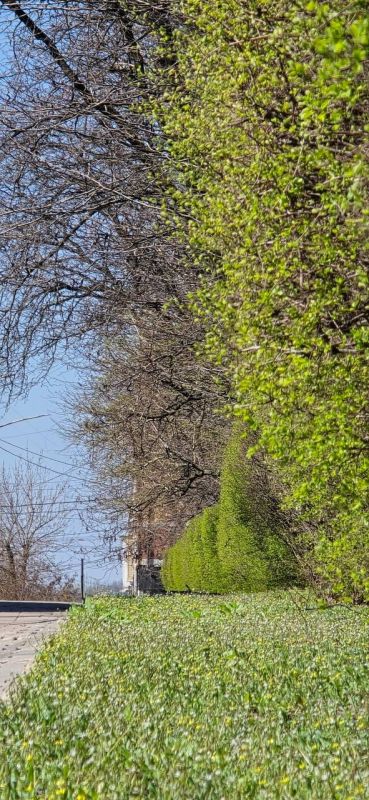 � �������� ������� ������ ��������, ���������� �������� ������ � ����� ���������� ��������