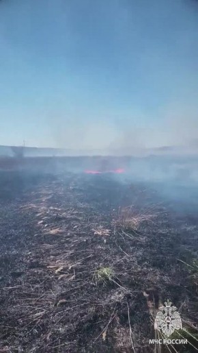 5 пожаров в экосистеме за сутки потушили в ЛНР спасатели