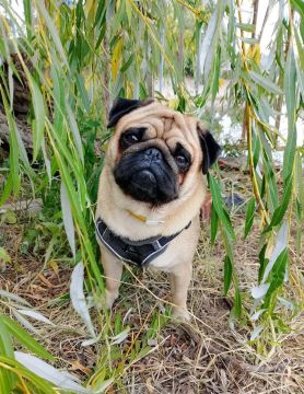 11 апреля на территории Луганской Народной Республики будет облачно с прояснениями