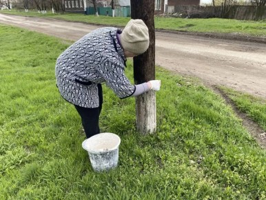 ���������� ������ �� ���������������� ��� �������� ��������� ������� ������ ������ ����� � ��������� ������������