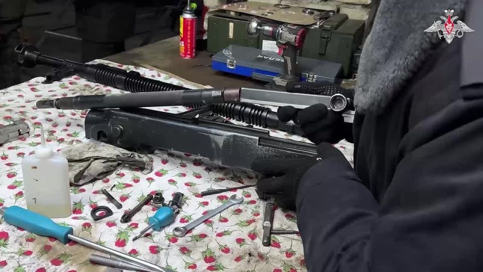 ����������� ��������-����������������� ������������� ����������� ������ � ������ � �������������� ������ �����������, ����������� � ������������� ������� �������