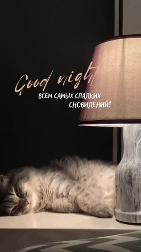 � ���, ����� ���� ������