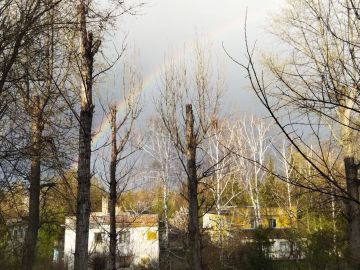 ����� �� ����� �������� ��� ������� � ������������ - ����������� ������ �� ���� ��������� �������