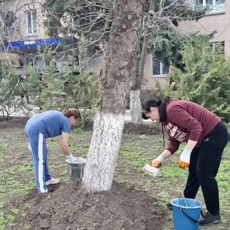 111Новоайдарские правоохранители облагородили здание ОМВД и территорию близ него 111Новоайдарские правоохранители облагородили здание ОМВД и территорию близ него