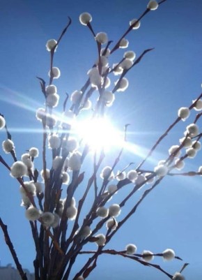 � ������ �����!. ������� 11 ������, �������! ������ ������� ��������! ������� � ������: