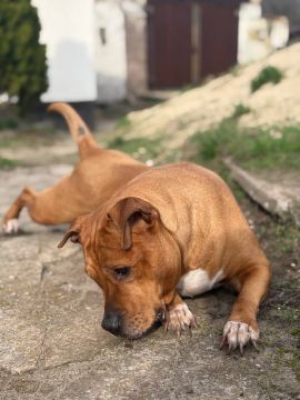 12 ������ �� ���������� ��������� �������� ���������� ����� ������� � ������������