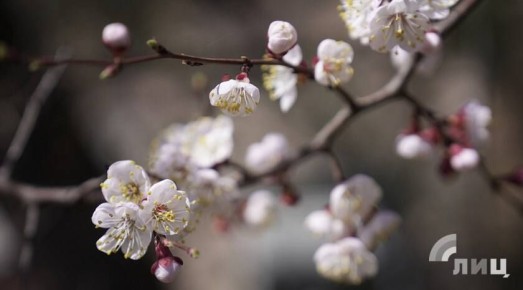 ������ �������� ��������� � ��� ������� � ������ ������������ � ���������� �����������, ��� ����� �������� �� ������� ������