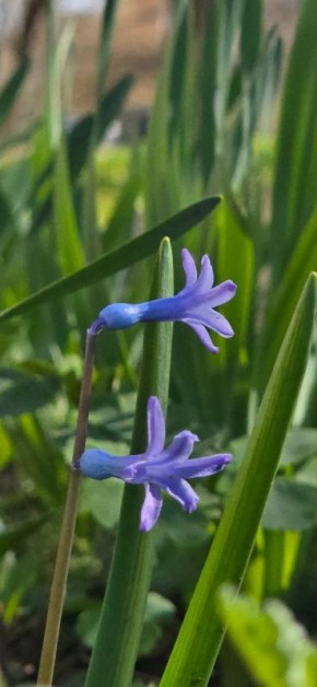 ��������� ������������ 13 ������ � ��� �� 3 �������� ������ ����� �� 17 �������� ����� ����, ������� ��������� ��������� �����