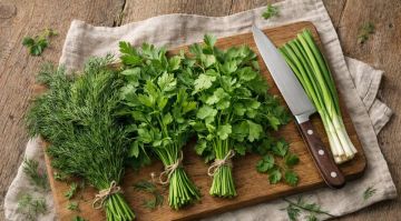 ������� ���������, ��� ������������ ���� ������ ������� ������� ��� ����� ������ ����� ������������, ������������ ����������� ����� ��������� ������ ������� �������� �������, ����� ������������ ����� ����������