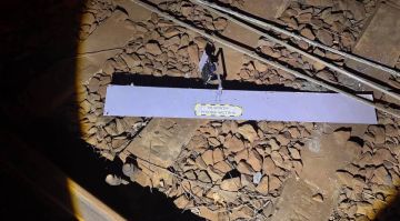 �������� ����� ����� 6,5 ���