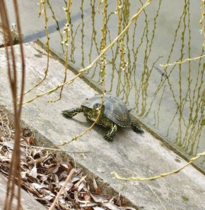 14 ������ �� ���������� ��������� �������� ���������� ����� ������� � ������������