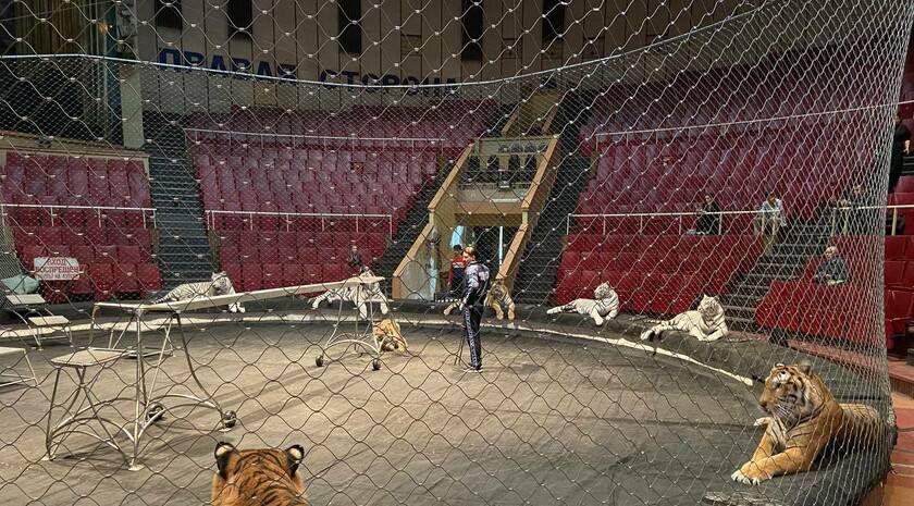 ������� ���������� ���� ���������� 25 ������ � �������� ��� ������� �������� ������� � ������� �����