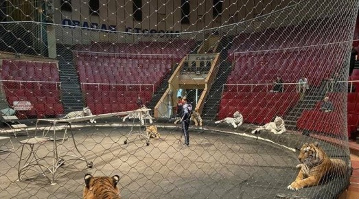 ������� ���������� ���� ���������� 25 ������ � �������� ��� ������� �������� ������� � ������� �����