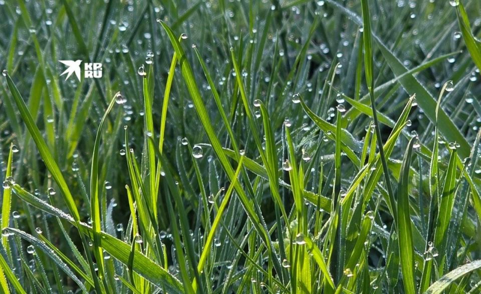 ������ � ��� 13 ������. � �������� ���� 14-16 ��������, �������� ��������� ����� � �����