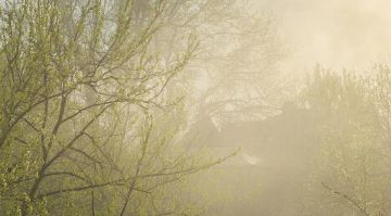 Синоптики прогнозируют 14 апреля в ЛНР до 12 градусов тепла, местами туман