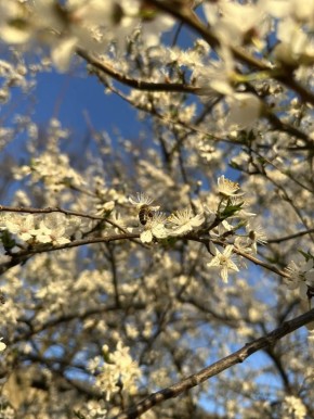 С ДОБРЫМ УТРОМ, ЖИТЕЛИ МАРКОВСКОГО МУНИЦИПАЛЬНОГО ОКРУГА!