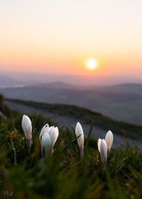 С ДОБРЫМ УТРОМ!. Сегодня 13 апреля, понедельник! Немного о погоде: