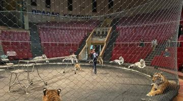 ������� ���������� ���� ���������� 25 ������ � �������� ��� ������� �������� ������� � ������� �����