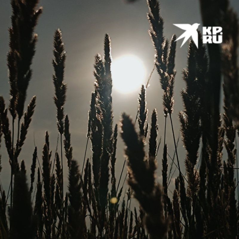 ����� ������ ��������� ����?