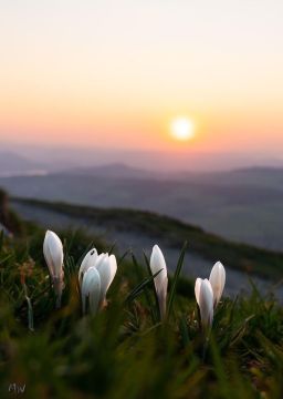 С ДОБРЫМ УТРОМ!. Сегодня 13 апреля, понедельник! Немного о погоде: