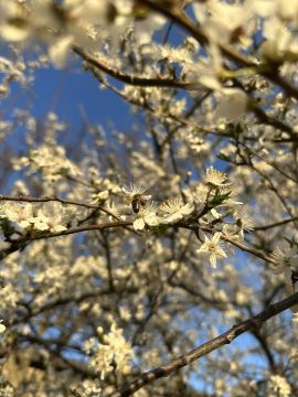 С ДОБРЫМ УТРОМ, ЖИТЕЛИ МАРКОВСКОГО МУНИЦИПАЛЬНОГО ОКРУГА!