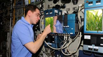 ����������� ������: ��� ���������� �������, ����� � �������� �� ������