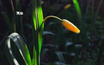 Друзья, для нас важно оставаться на связи при любой погоде