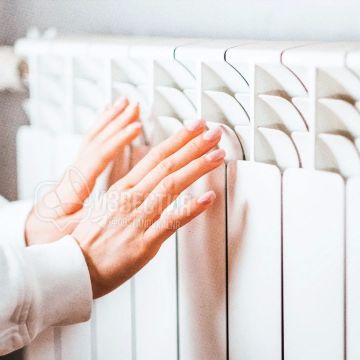 ������������ ����� � ��� ���������� 15 ������