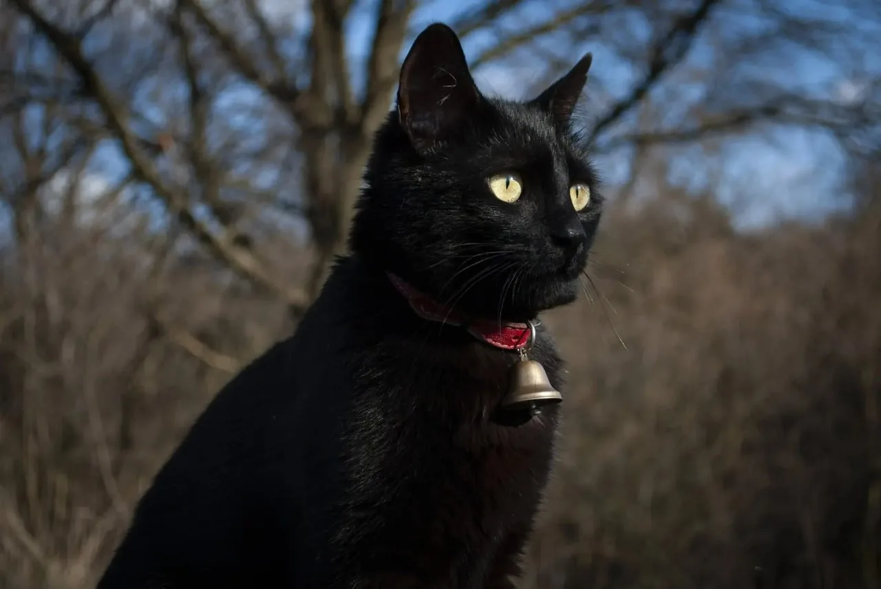 15 апреля на территории Луганской Народной Республики будет облачно с прояснениями