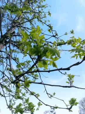 � ������ �����, �������!. ����� ��� ����� ��������� ��������� �����������, ��������� � ���������, � ���� �������� ����� ������� �������! @agklnr #�������