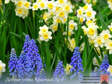 ������ ����, ������������ !