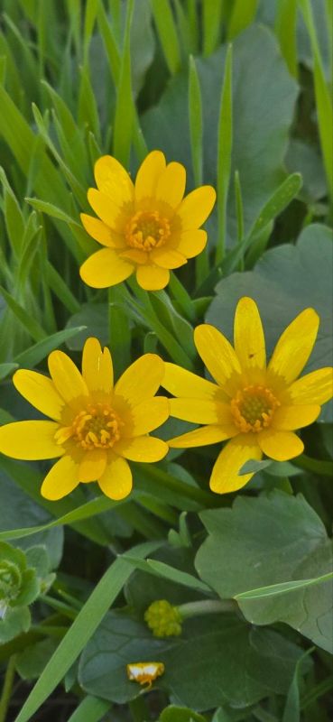 ��������� ������������ 15 ������ � ��� �� 2 �������� ���� ���� ����� �� 15 �������� ����� ����, ������� ��������� ����� � ���������� �����