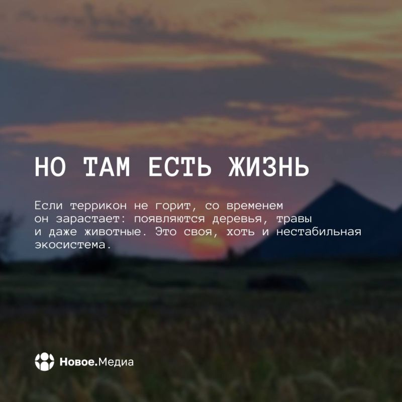 Черные пирамиды Донбасса. Горы из породы – вечные стражи горизонта! Они – пульсирующее сердце пейзажа, отпечаток героического труда шахтеров и эхо их неугасающей памяти Черные пирамиды Донбасса. Горы из породы – вечные стражи горизонта! Они – пульсирующее сердце пейзажа, отпечаток героического труда шахтеров и эхо их неугасающей памяти