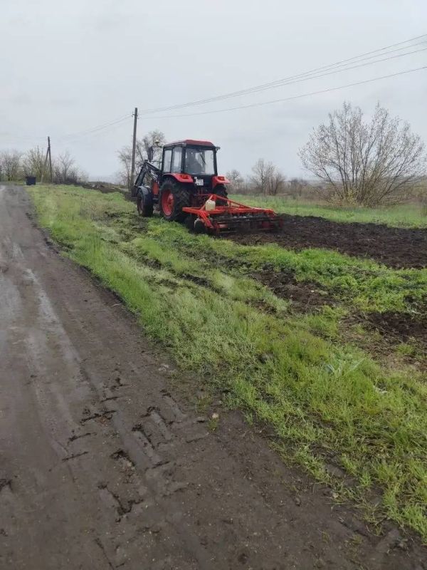 Сергей Козенко: Обновление противопожарных минерализованных полос Сергей Козенко: Обновление противопожарных минерализованных полос