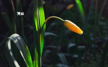 Друзья, для нас важно оставаться на связи при любой погоде