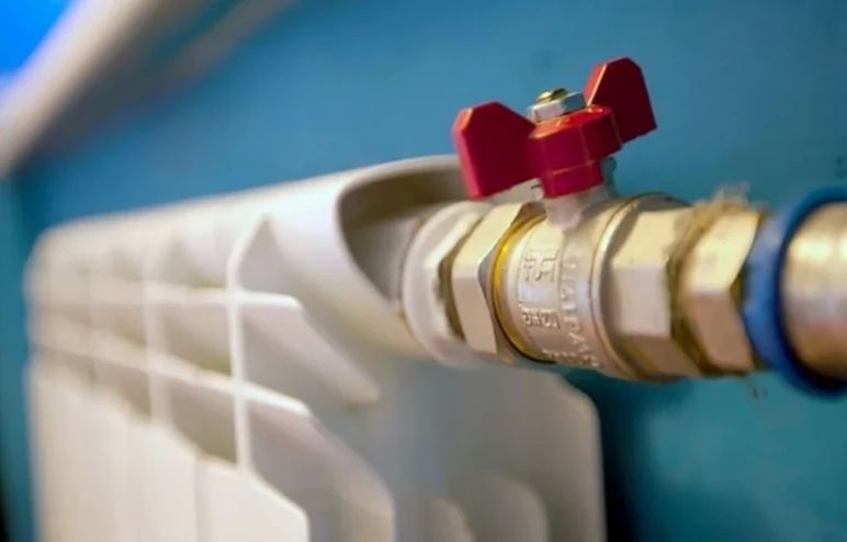 ������������ ����� � ��� ����������� 15 ������