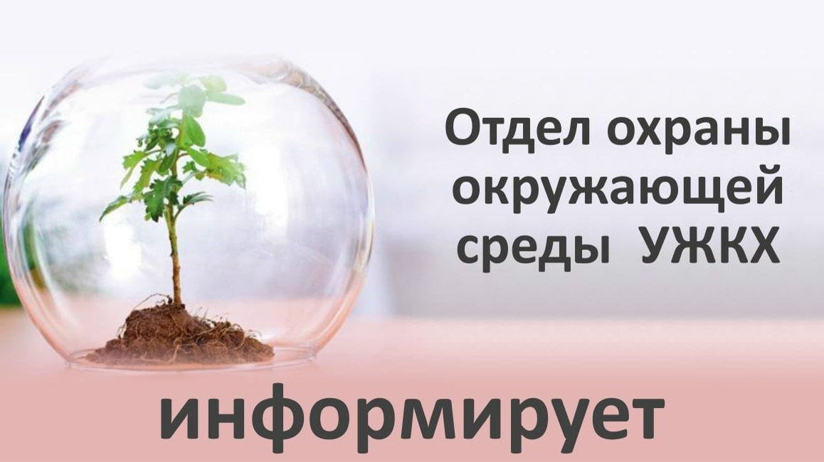 ОТДЕЛ ОХРАНЫ ОКРУЖАЮЩЕЙ СРЕДЫ УЖКХ ИНФОРМИРУЕТ