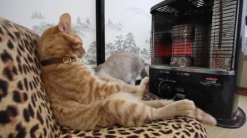 ������������ ����� � ���������� ����������� ������,15 ������